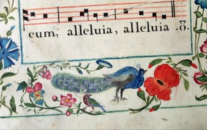 Vue d'une page d'un livre du 18e siècle, extrait de l'exposition du musée diocésain de Namur